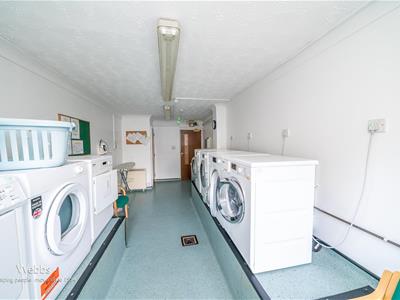 Picture 27